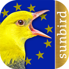 Vogelstimmen Europas, Nordafri icône