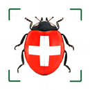 Insektenführer Pro Natura APK