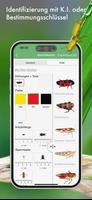 BUND Insekten Kosmos screenshot 3