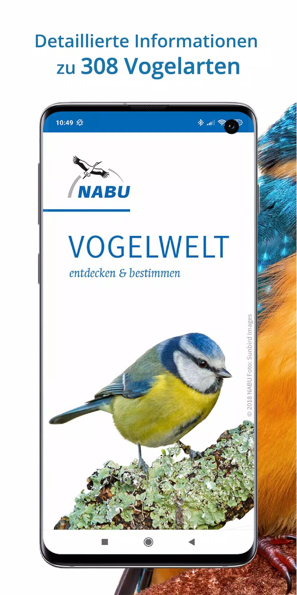Descarga de APK de NABU Vogelwelt - Vögel Entdeck para Android