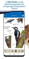 NABU Vogelwelt Vögel Bestimmen Ekran Görüntüsü 2