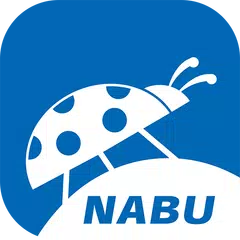 NABU Insektenwelt - Insekten Entdecken & Bestimmen XAPK download