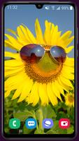 Sunflower Wallpaper 海报