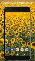 Sunflower Live Wallpapers HD 海報