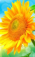 Sunflower Live Wallpaper screenshot 1