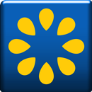 Sunflower Parent APK