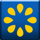Sunflower Parent icono