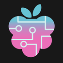 PiAssistant APK