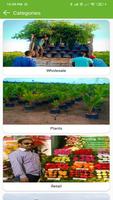 GK Nurseries screenshot 3
