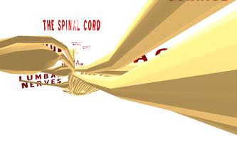 The Spinal Cord VR اسکرین شاٹ 1