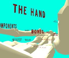 2 Schermata The Hand VR