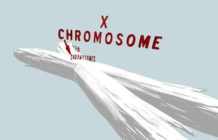 X Chromosome VR Affiche