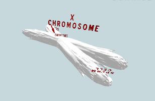X Chromosome VR capture d'écran 1