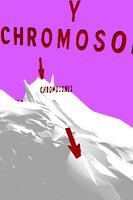 Y Chromosome VR Ekran Görüntüsü 2