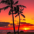 Sunset Wallpapers