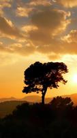 Sunset HD Wallpaper screenshot 2