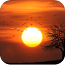 Sunset Wallpaper HD APK