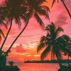 Sunset and Sunrise Wallpaper-icoon