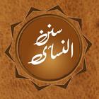 Sunan an Nasai Offline in Urdu, English, Arabic أيقونة