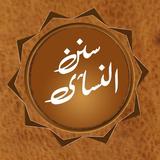 Sunan an Nasai Offline in Urdu, English, Arabic أيقونة