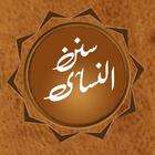 Sunan an Nasai Offline in Urdu, English, Arabic simgesi