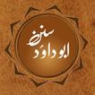 Sunan Abu Dawood Urdu Offline - English & Arabic