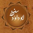سنن أبو داود الأردية غير متصل - انجليزي وعربي
