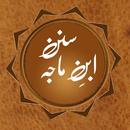 Sunnan Ibn e Maja Arabic,Urdu,English APK