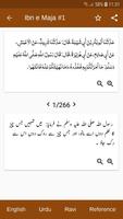 Sunnan Ibn e Maja Arabic,Urdu,English screenshot 3