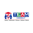 Team Consult Zeichen