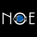 APK NOE SUSHI