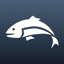 Matt Hayes APK