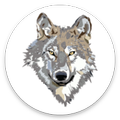 Wolf Images