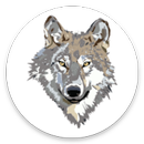 Wolf Images APK