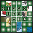 Guess The Picture