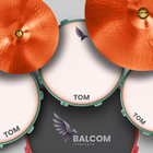 ikon Real Drum