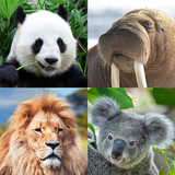 Guess: Animals Quiz