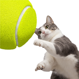 Meme Cat: Ultimate Tennis