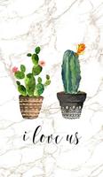 Cute Cactus Wallpapers Affiche