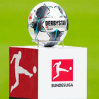Bundesliga Match Schedule 2024 icône