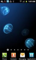 Live Jellyfish Affiche