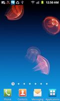 Live Jellyfish 截图 1