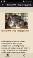 Уход за грызунами Ekran Görüntüsü 1