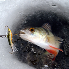 Зимняя рыбалка আইকন