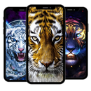 Tiger icon wallpaper APK