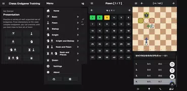 Chess Endgame Training