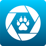 Maginon WildlifeCam Wifi APK