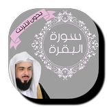 Sura AlBaqara - Khalid Al-Jalil - without internet