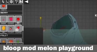 Mod bloop For Melon скриншот 2
