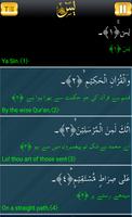 Surah yasin mp3 Recitation screenshot 1